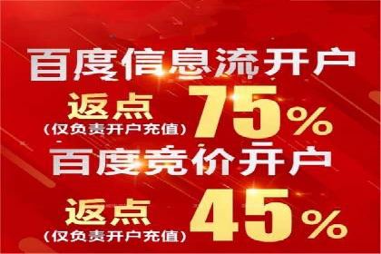 百度推广效果案例解析